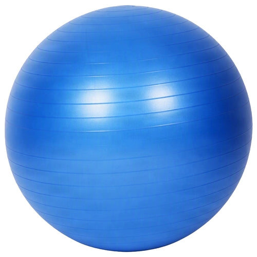 Amber Fight Gear Fitness Ball with Strap Anti-Burst Exercise Ball,