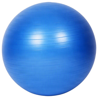 Amber Fight Gear Fitness Ball with Strap Anti-Burst Exercise Ball,