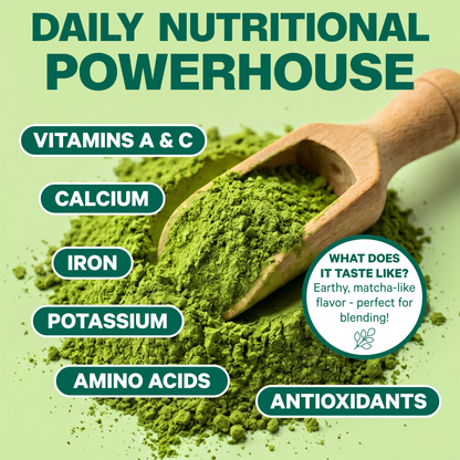Organic Pure Moringa Powder (10.6 oz)