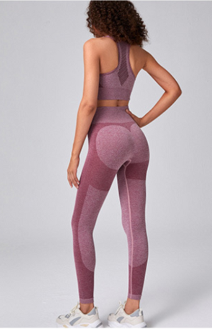 Women's Seamless Mesh Athletic Set - Quick-Dry Sports Bra & Leggings